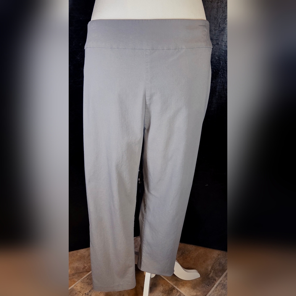 JM Collection NWOT Gray Tummy Control Pull On Pants Studded Waist Size M - Picture 5 of 9